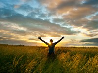 Disse blandit dapibus arcu a.